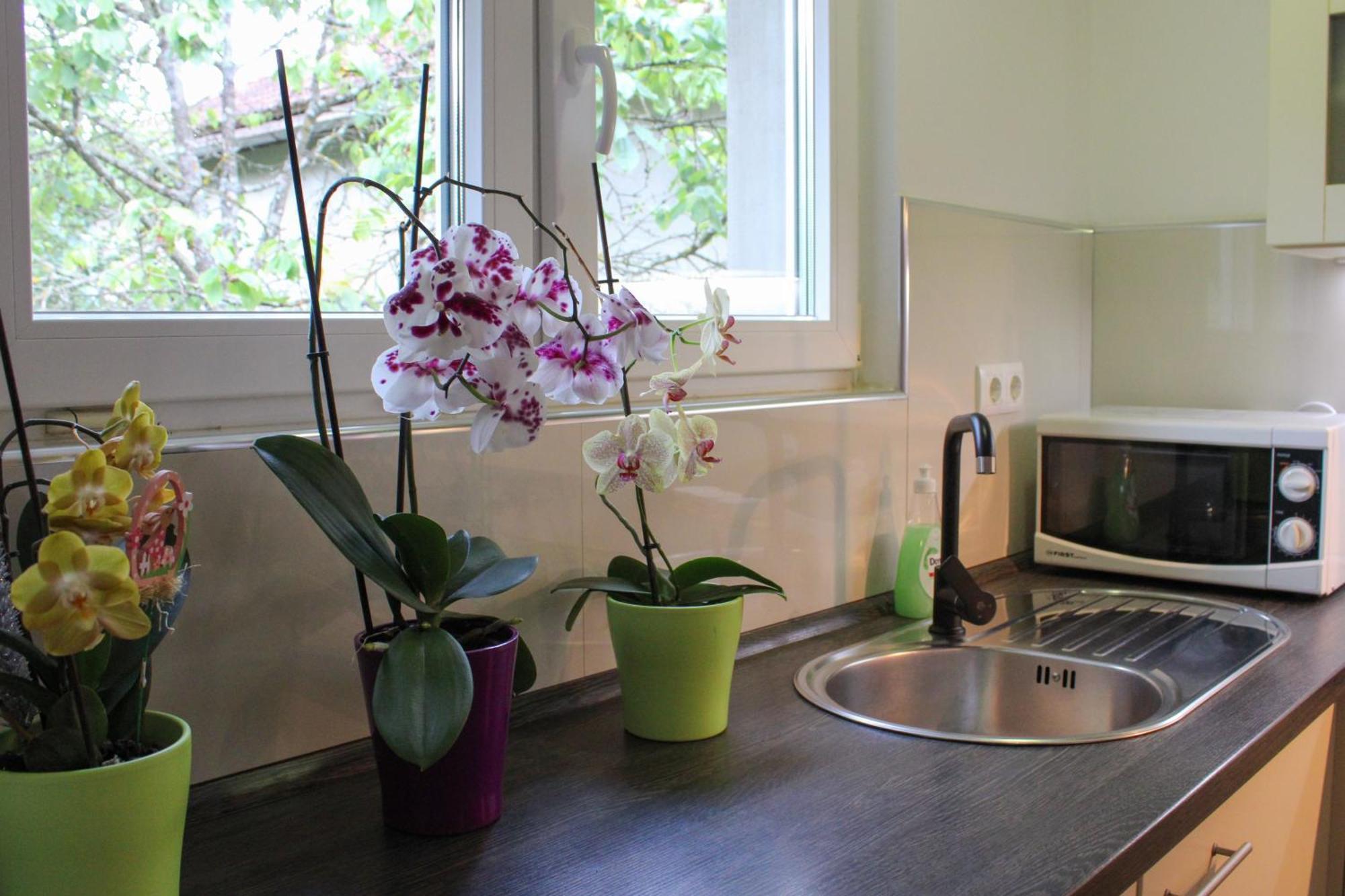 Apartman Nadja&Dani Кулен Вакуф Экстерьер фото
